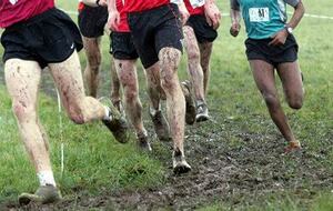 ANNULÉ Cross départemental Minimes à Vernon le 11 01 26
